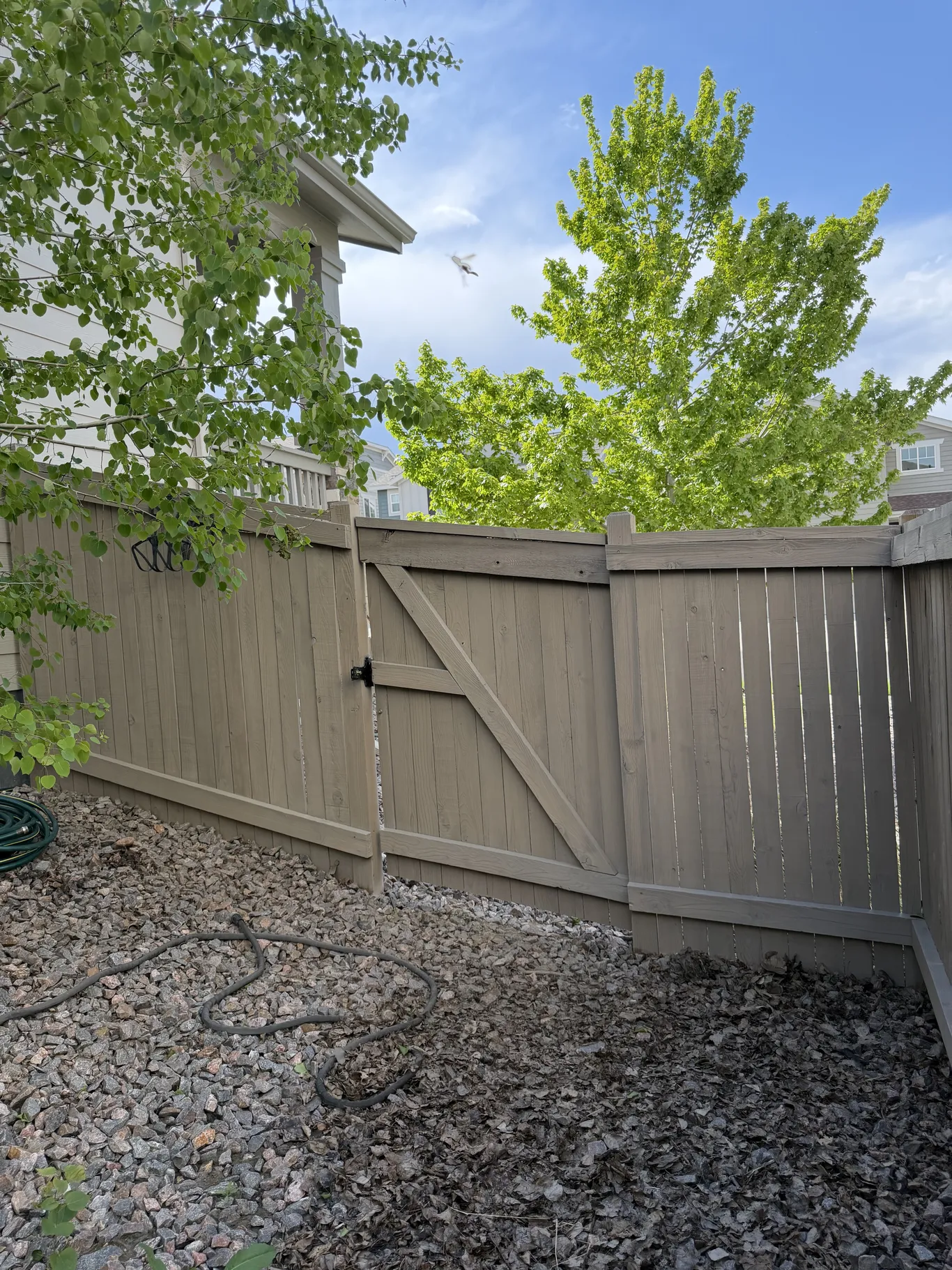 Deck before restoration — weathered gray boards